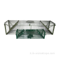 Whit Bird Cage Animal Live Trap a BirdCageTrap